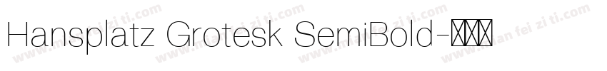 Hansplatz Grotesk SemiBold字体转换